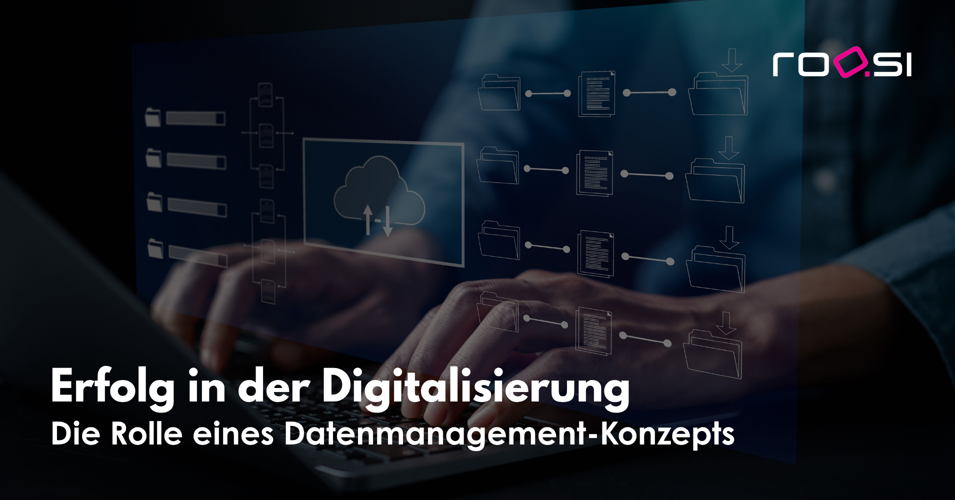 Datenmanagement Bloggrafik roosi