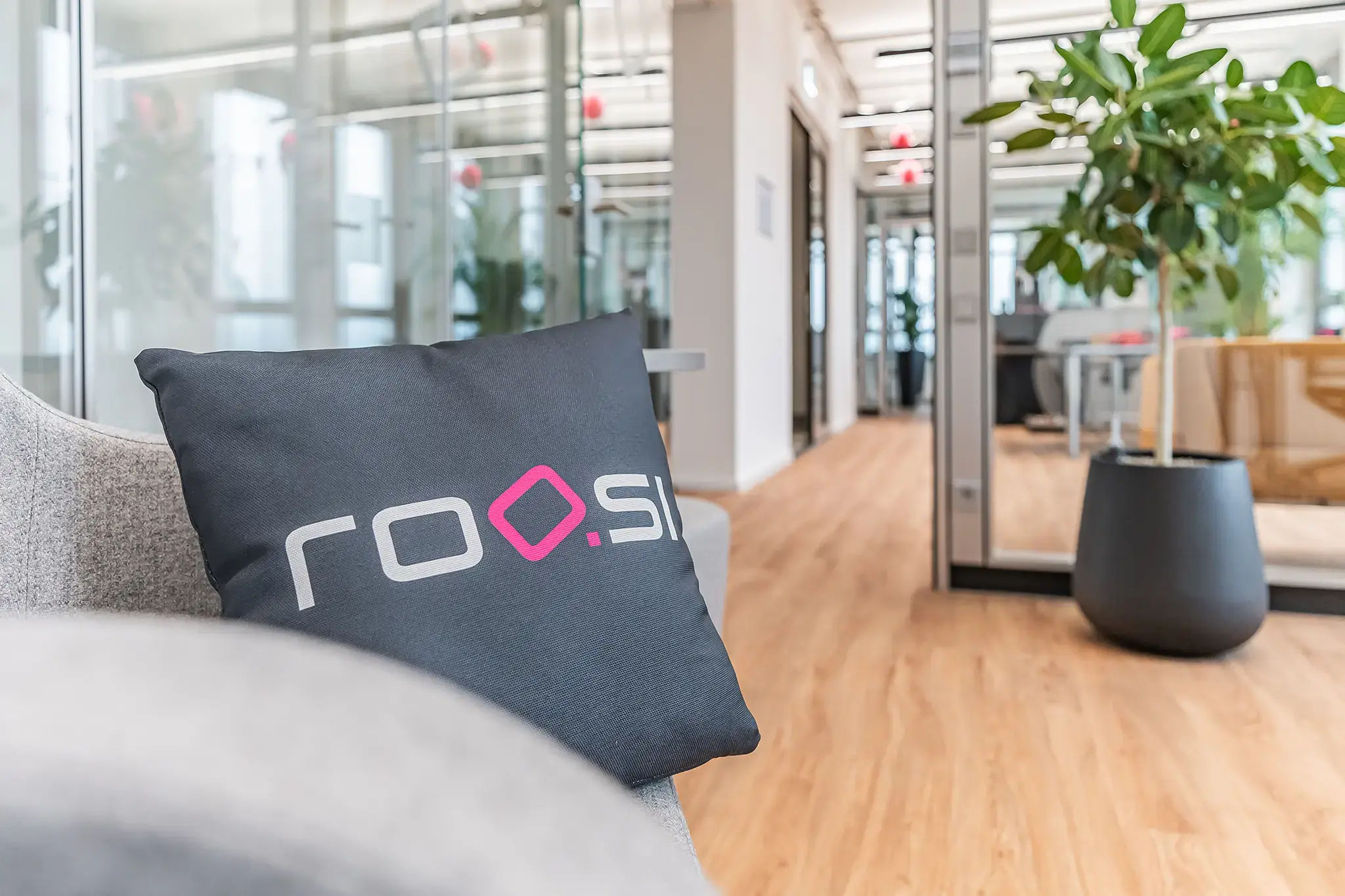 Empfangsbereich im roosi-Büro Rosenheim: ein Sofa mit dunklem roosi-Kissen, dahinter Glaswände, Holzboden und der Flur zu den Arbeitsplätzen