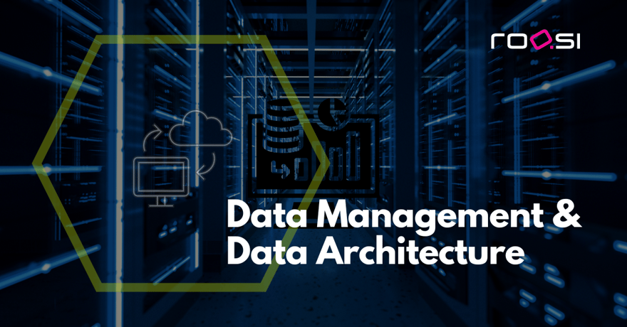 Data Management und Data Architecture