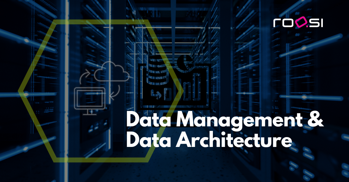 Data Management und Data Architecture