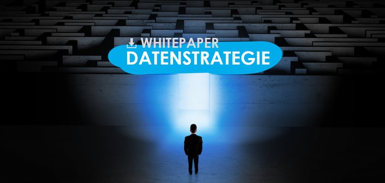 DOWNLOAD Datenstrategie Whitepaper