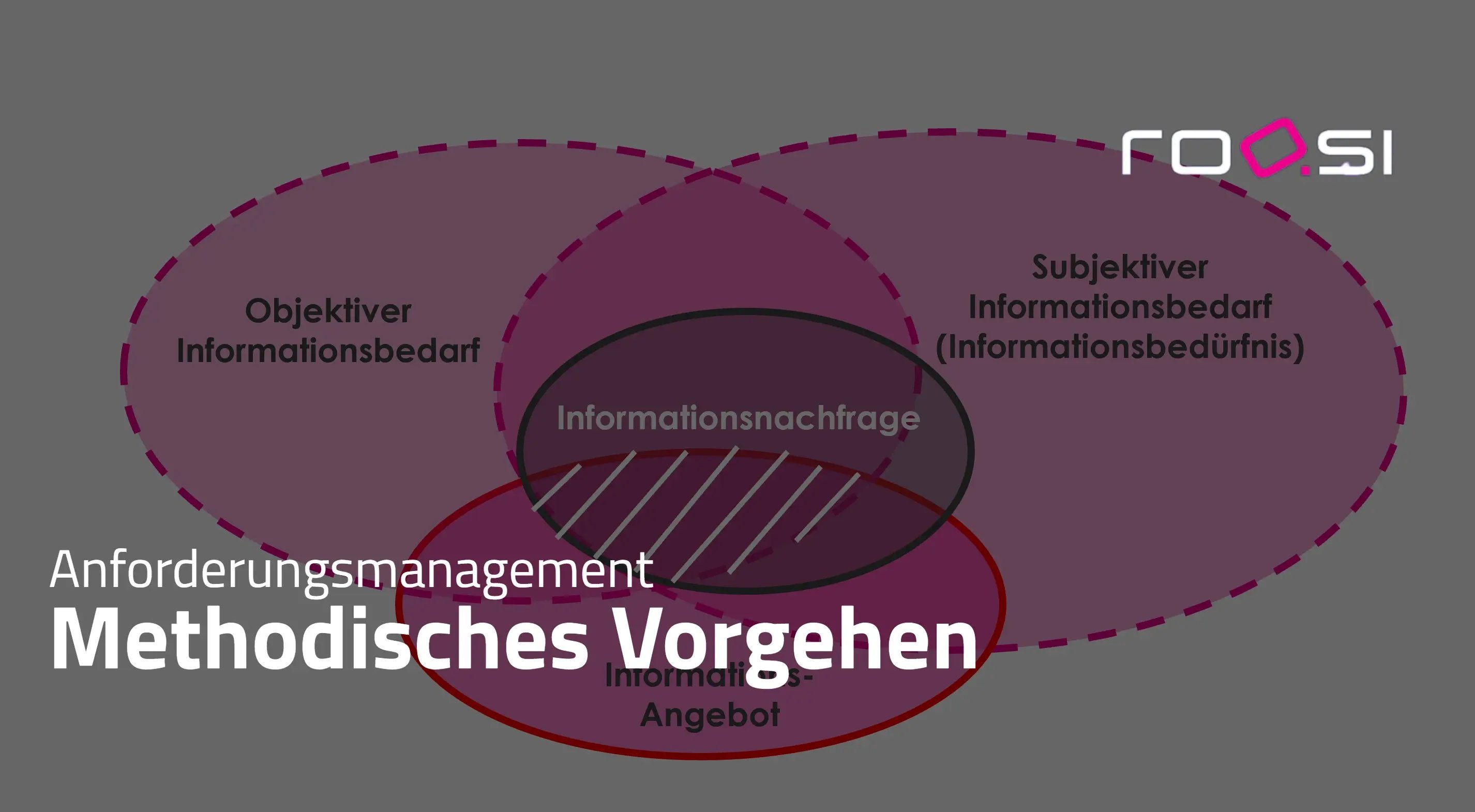 Informationsbedarfsanalyse - Methodisches Vorgehen im Anforderungsmanagement