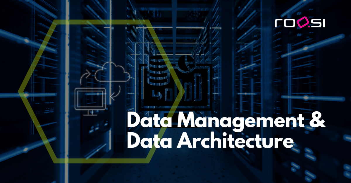 Data Management & Data Architecture