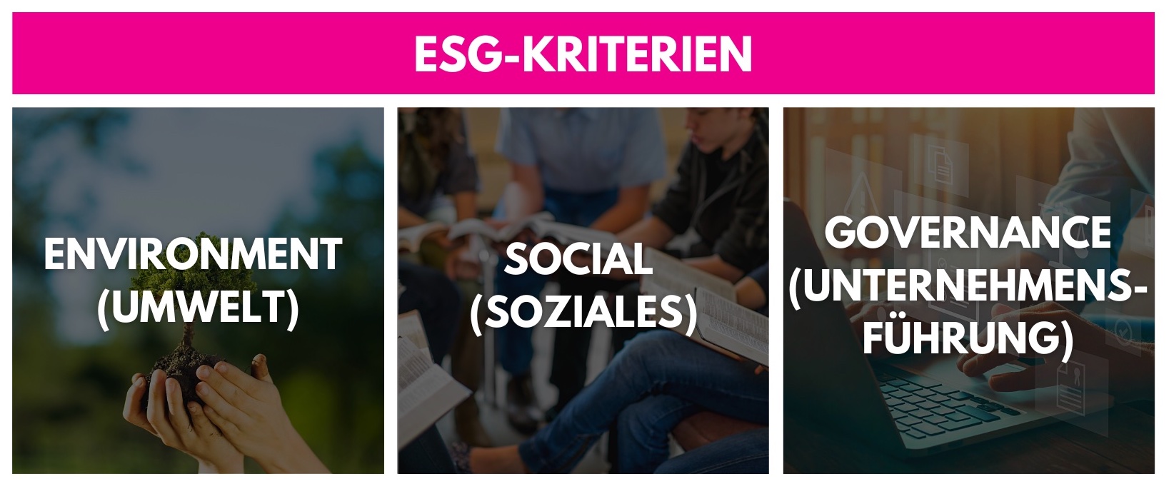 roosi_blog_ESG_Kriterien-1